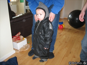 Miniature af billede nummer 463