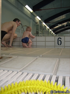 Miniature af billede nummer 471