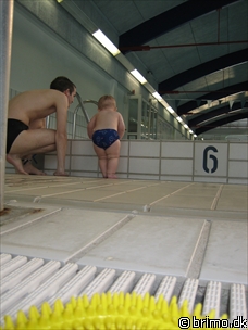 Miniature af billede nummer 472