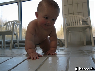 Miniature af billede nummer 474