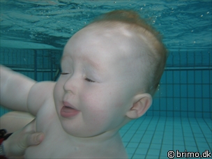 Miniature af billede nummer 477