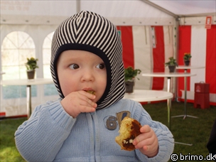 Miniature af billede nummer 478