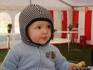 Miniature af billede nummer 479