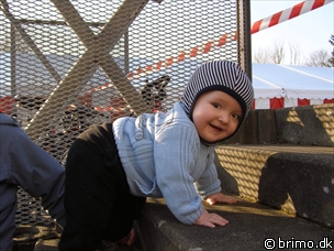 Miniature af billede nummer 480