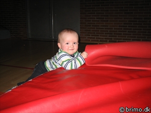 Miniature af billede nummer 486