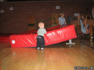 Miniature af billede nummer 487