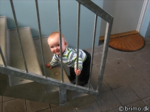 Miniature af billede nummer 488