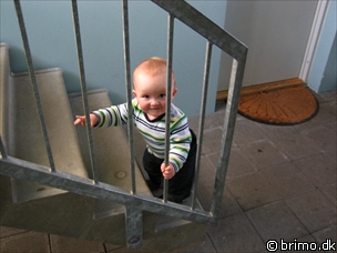 Miniature af billede nummer 489