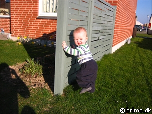 Miniature af billede nummer 491