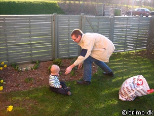 Miniature af billede nummer 492