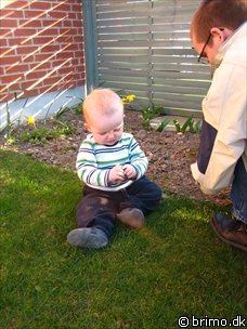 Miniature af billede nummer 493