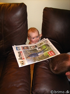 Miniature af billede nummer 494