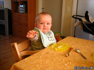 Miniature af billede nummer 496