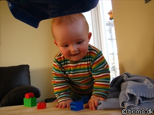 Miniature af billede nummer 498