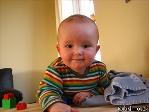 Miniature af billede nummer 499