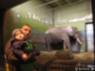 Miniature af billede nummer 502