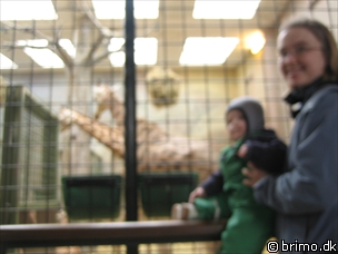 Miniature af billede nummer 503