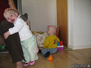 Miniature af billede nummer 507