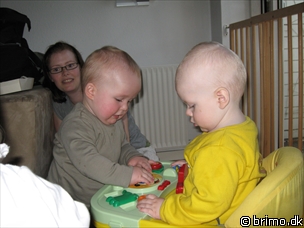 Miniature af billede nummer 508