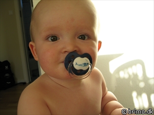 Miniature af billede nummer 509