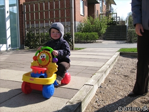 Miniature af billede nummer 510