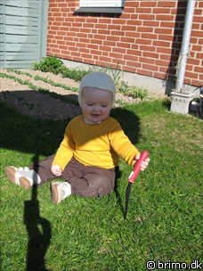 Miniature af billede nummer 511