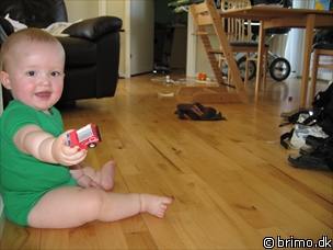 Miniature af billede nummer 514