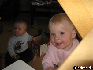 Miniature af billede nummer 519