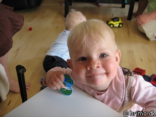 Miniature af billede nummer 520