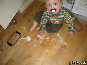 Miniature af billede nummer 530