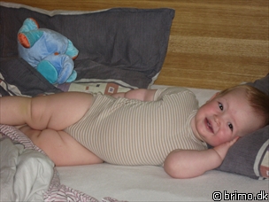 Miniature af billede nummer 534