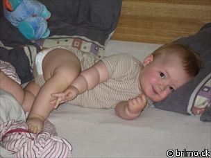 Miniature af billede nummer 535