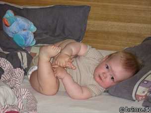 Miniature af billede nummer 536