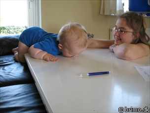 Miniature af billede nummer 541