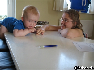 Miniature af billede nummer 542