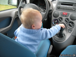 Miniature af billede nummer 544