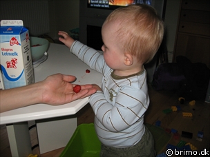 Miniature af billede nummer 548