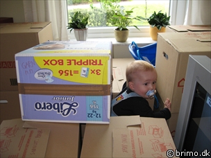 Miniature af billede nummer 553