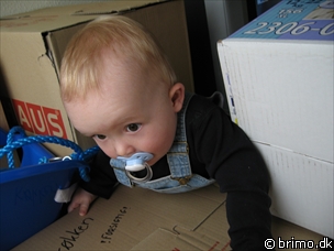 Miniature af billede nummer 554