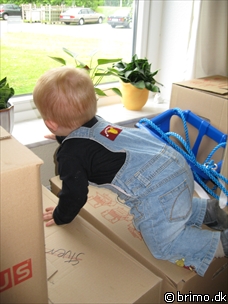 Miniature af billede nummer 555