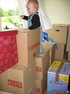 Miniature af billede nummer 557