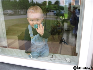 Miniature af billede nummer 559