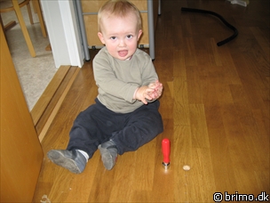 Miniature af billede nummer 561