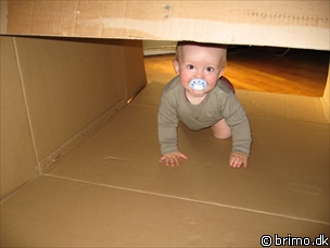 Miniature af billede nummer 563