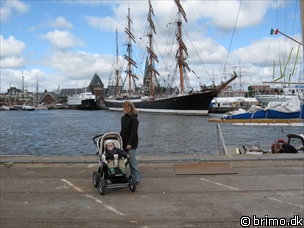 Miniature af billede nummer 570