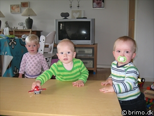 Miniature af billede nummer 571