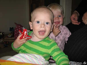 Miniature af billede nummer 572