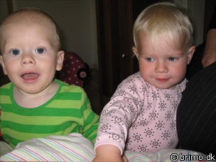 Miniature af billede nummer 573