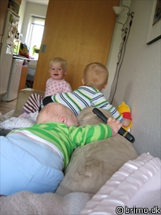 Miniature af billede nummer 574