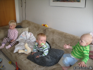 Miniature af billede nummer 575